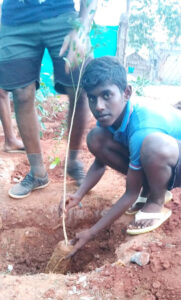 Children Planting Drought Resistant Species