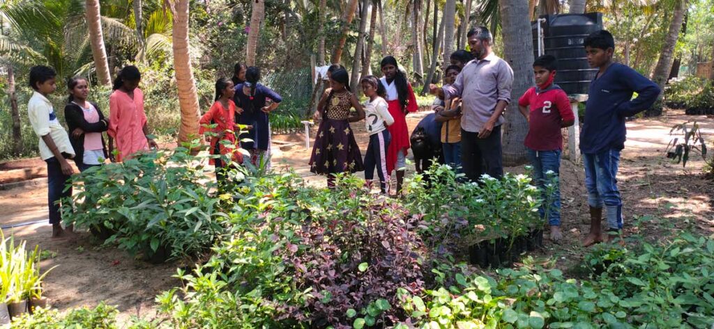 Cycle Trip to the Kalwari Hills